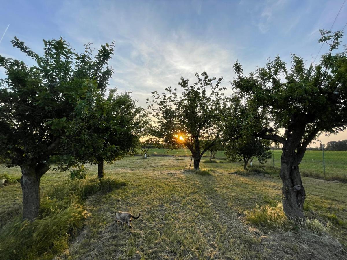 Malamu Bnb Eventi Rigosa Exteriér fotografie